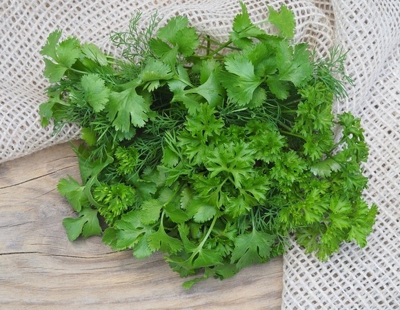 «Делать только так»: как сохранить зелень в холодильнике дольше обычного «Делать только так»: как сохранить зелень в холодильнике дольше обычного