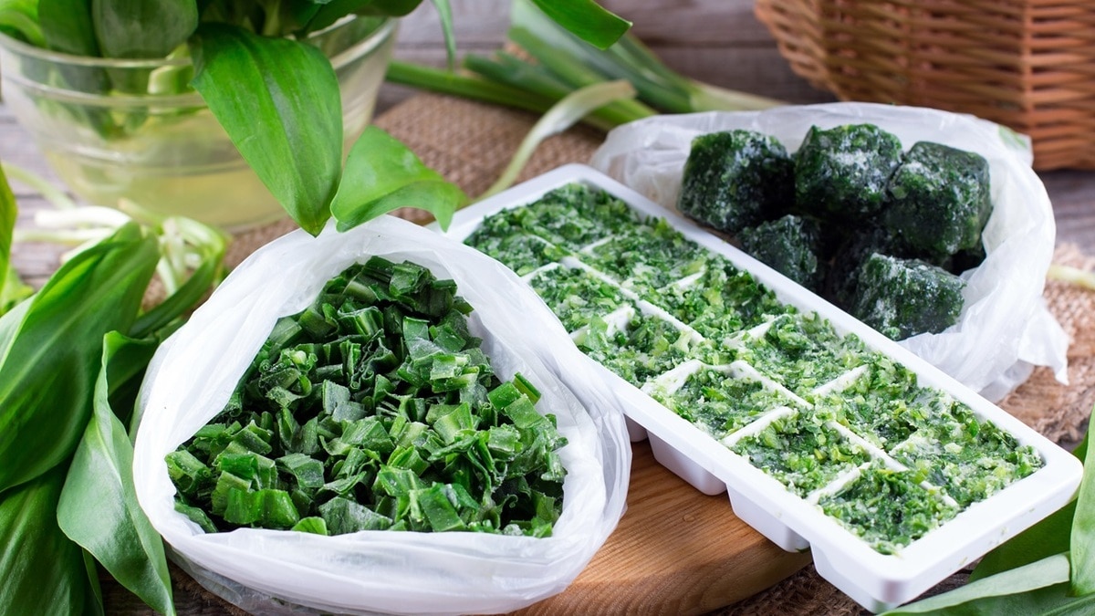 «Зимой — красота»: как правильно заморозить зелень в кубиках на долгий срок