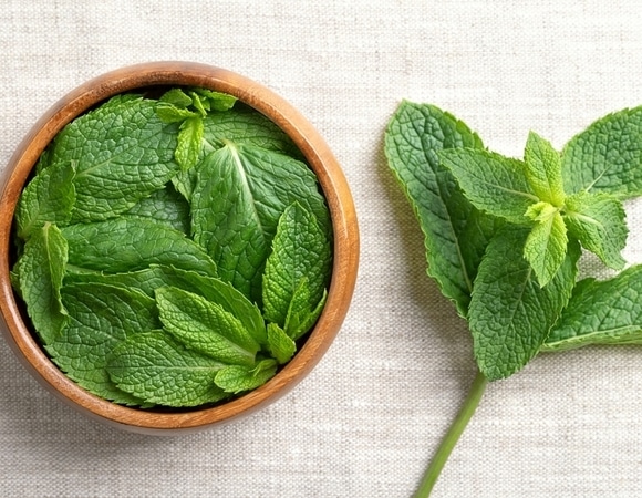 Освежающий хит: как мята покорила наши сердца и что из нее можно приготовить