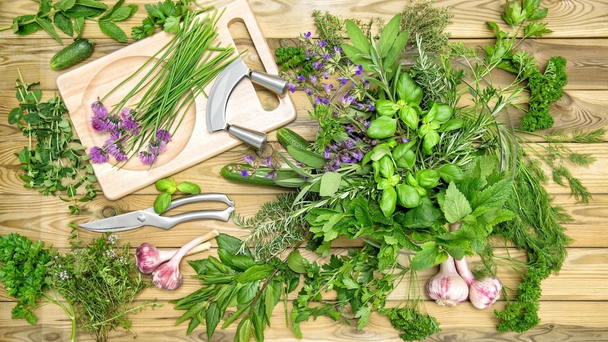 Эта весенняя зелень заменит витаминные добавки и поддержит иммунитет, уверяет диетолог 