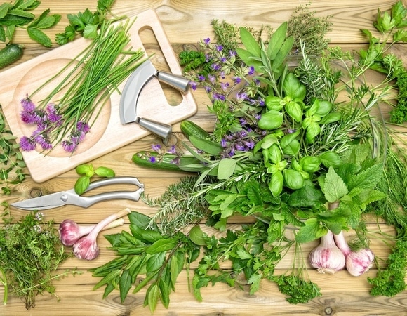 Эта весенняя зелень заменит витаминные добавки и поддержит иммунитет, уверяет диетолог Эта весенняя зелень заменит витаминные добавки и поддержит иммунитет, уверяет диетолог