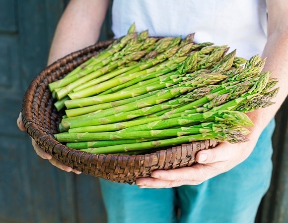 «Очень ароматно»: готовим спаржу правильно — несколько нюансов для супер-гарнира «Очень ароматно»: готовим спаржу правильно — несколько нюансов для супер-гарнира