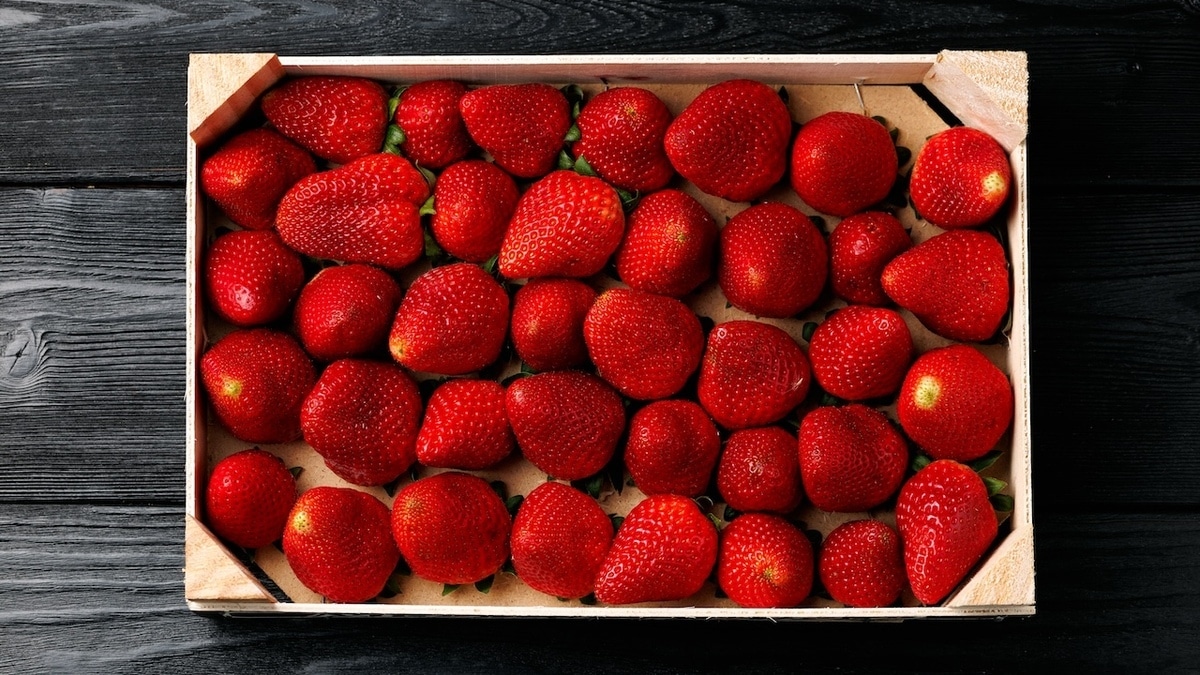 Вкусно, но опасно: врач предупредила о вреде ранней клубники