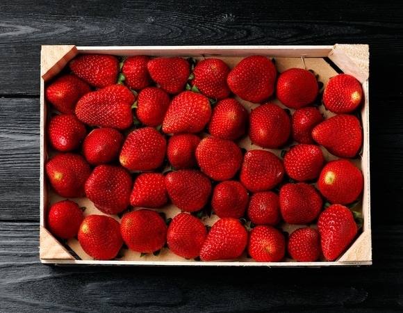 Вкусно, но опасно: врач предупредила о вреде ранней клубники