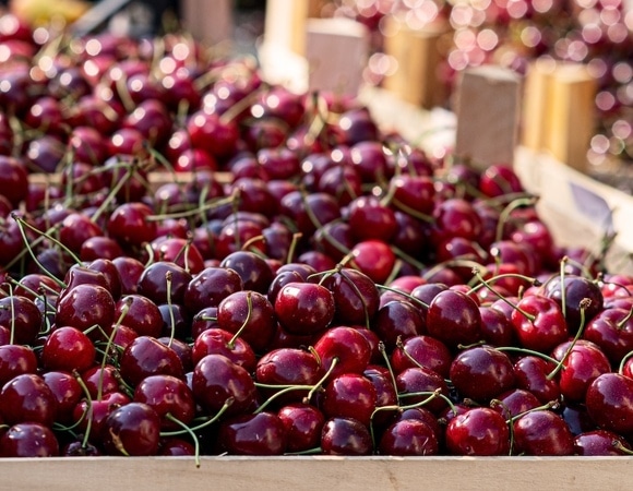 Цены на черешню запредельны: когда подешевеет летняя ягода