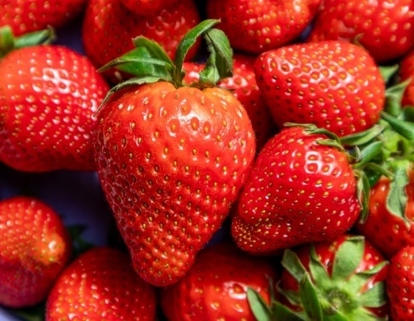 Эксперты перечислили признаки некачественной клубники — в такой ни вкуса, ни пользы