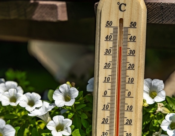 Что есть и пить в жару: советы диетолога, которые помогут легче переносить лето