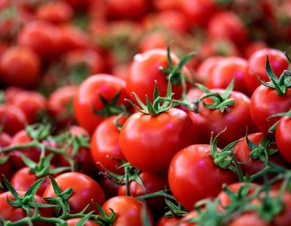 Как выбрать идеальные помидоры для салата, соуса и засолки — советы агронома