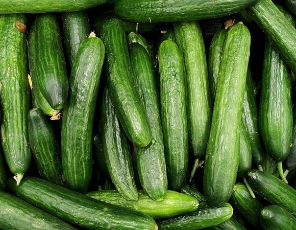 Не просто на ощупь: агроном научила россиян выбирать самые свежие огурцы