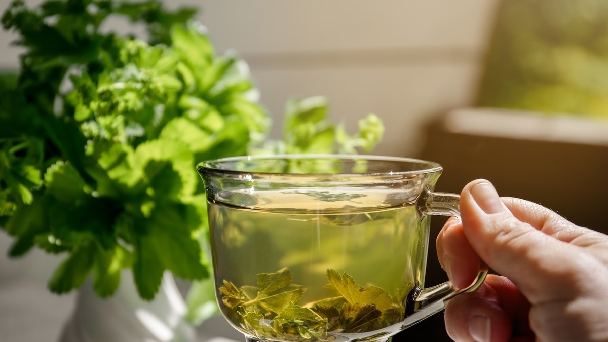 3 травяных чая, которые дают заряд бодрости с утра — справляются получше кофе и какао