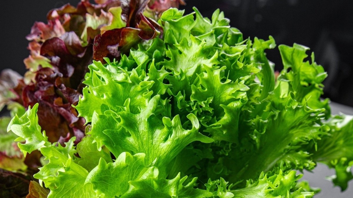 Она снижает риск болезней: в Роспотребнадзоре сказали, какую зелень нужно есть каждый день Она снижает риск болезней: в Роспотребнадзоре сказали, какую зелень нужно есть каждый день