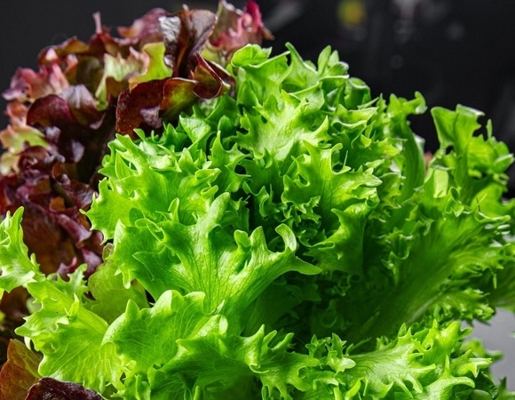 Она снижает риск болезней: в Роспотребнадзоре сказали, какую зелень нужно есть каждый день Она снижает риск болезней: в Роспотребнадзоре сказали, какую зелень нужно есть каждый день