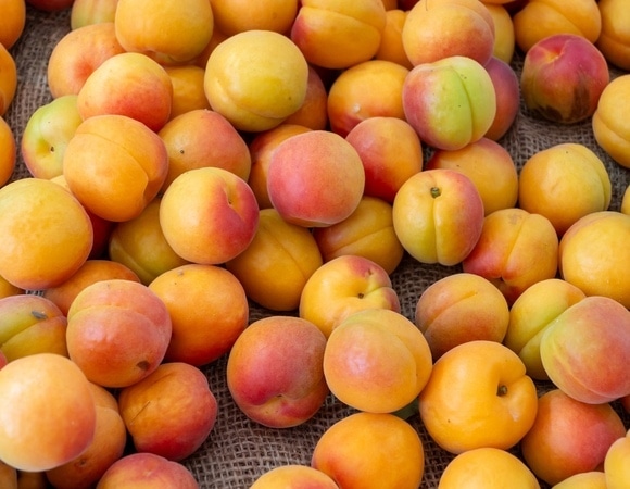 Диетолог предупредила, кому противопоказаны абрикосы — фрукт весьма непрост