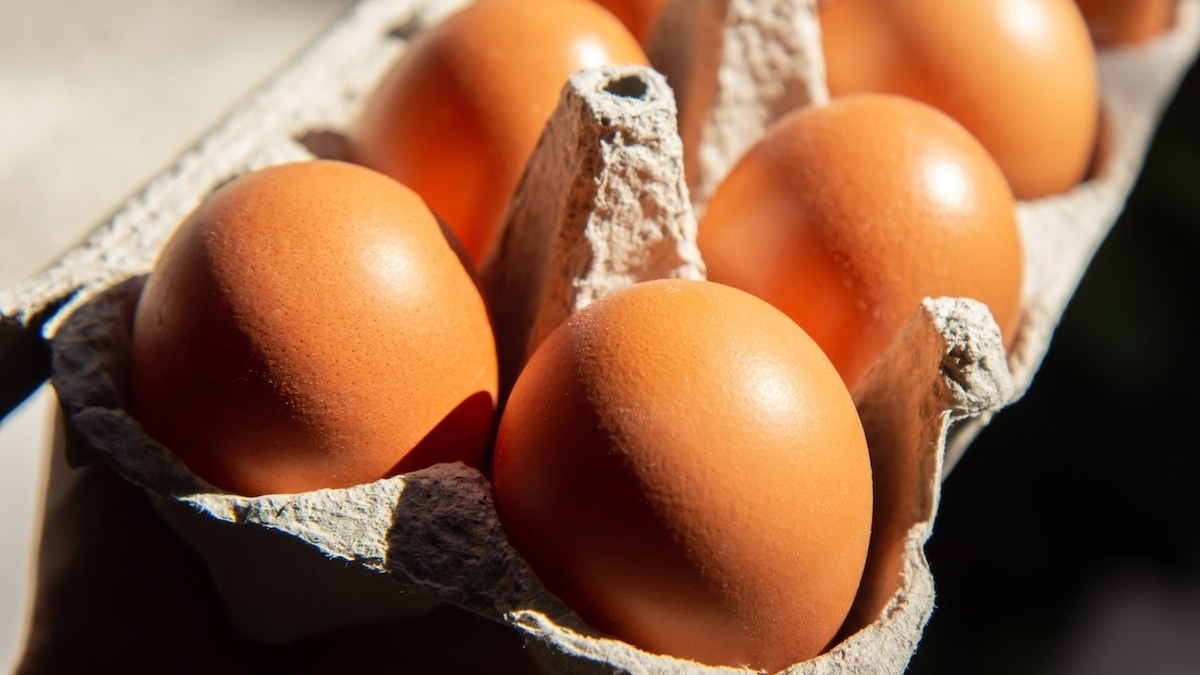 Можно ли хранить яйца в заводской упаковке?