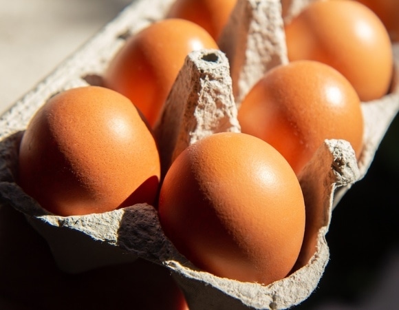 Можно ли хранить яйца в заводской упаковке?