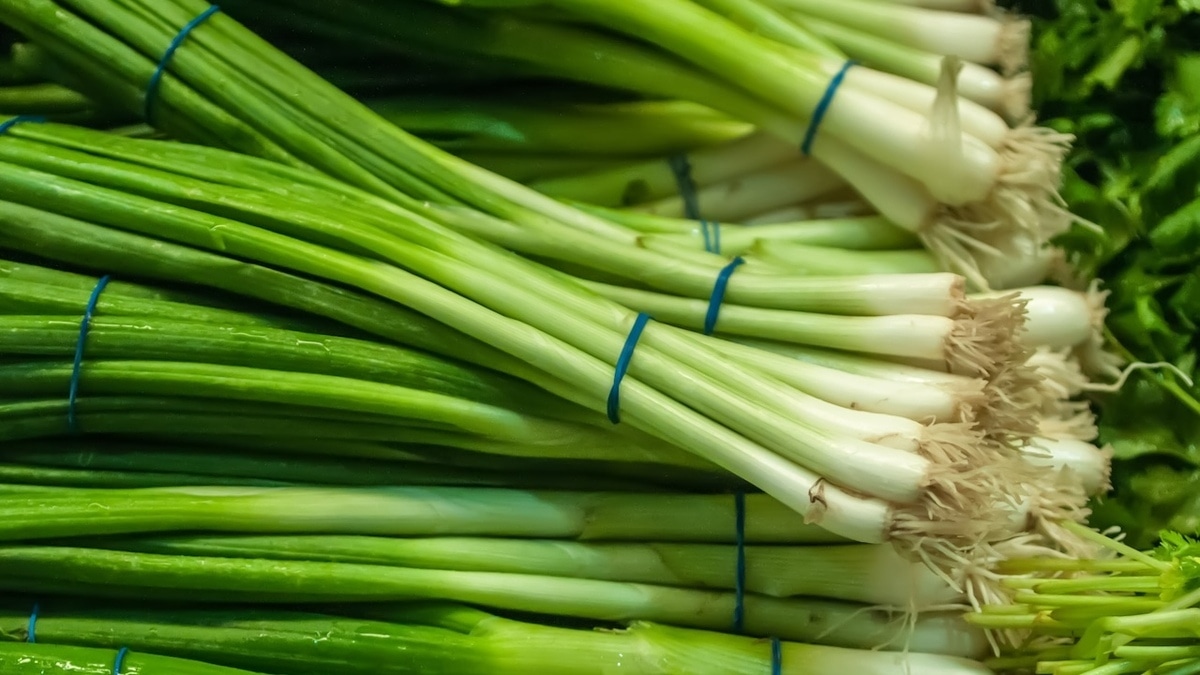 Как хранить зеленый лук, чтобы он не гнил в холодильнике — все проще, чем кажется