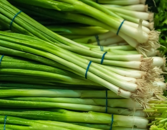 Как хранить зеленый лук, чтобы он не гнил в холодильнике — все проще, чем кажется Как хранить зеленый лук, чтобы он не гнил в холодильнике — все проще, чем кажется