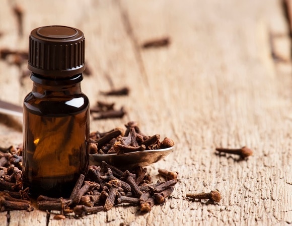 Масло гвоздики и не только — как бороться с комарами жаркими летними вечерами