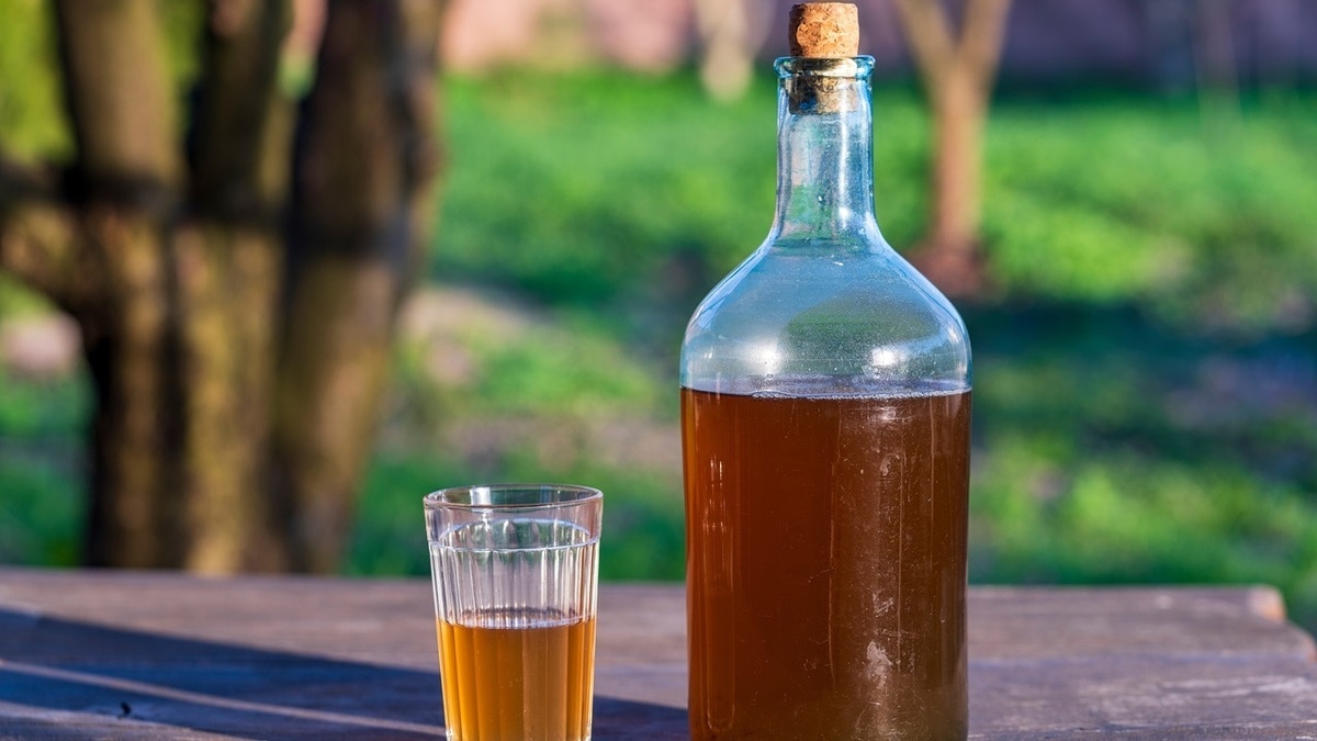 "Прекрасно для летних пикников": как сделать березовый квас — есть нюанс "Прекрасно для летних пикников": как сделать березовый квас — есть нюанс
