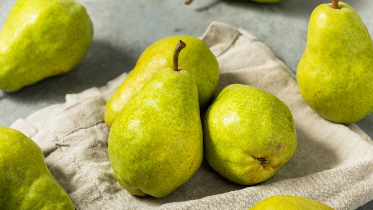 "Комбинируйте с творогом": диетолог научила есть груши — так польза для организма максимальна