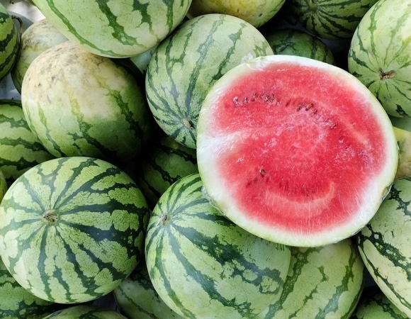 Когда можно покупать арбузы в 2025 году? Эксперты предупреждают, что сезон сдвинулся 