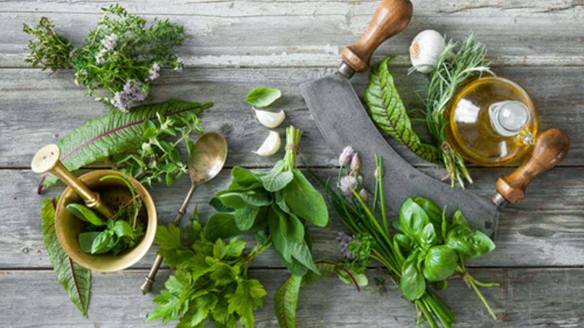 Доктор Мясников предостерег: этим людям петрушку и кинзу есть опасно