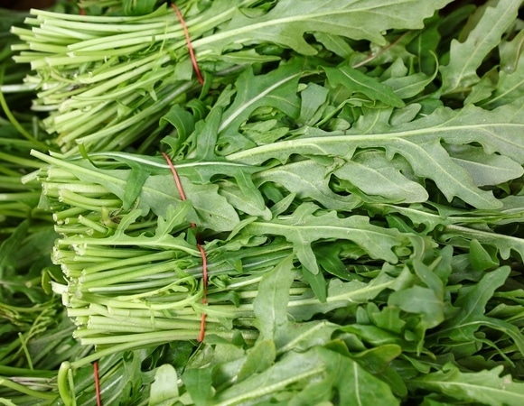 "Не застрахован никто": гастроэнтеролог назвала самые опасные продукты в магазинах "Не застрахован никто": гастроэнтеролог назвала самые опасные продукты в магазинах