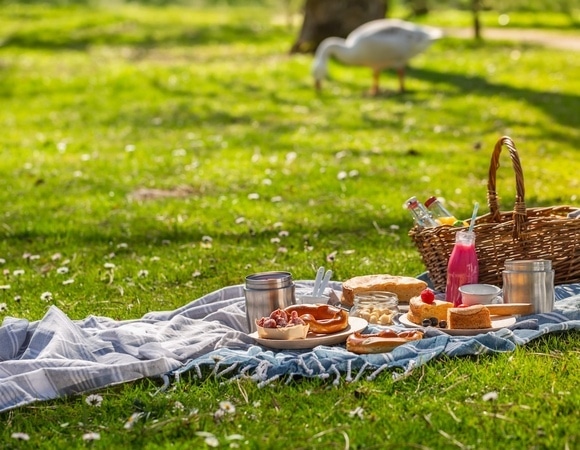 Перечислены продукты, которые нельзя брать на пикник — рассадник патогенных бактерий 
