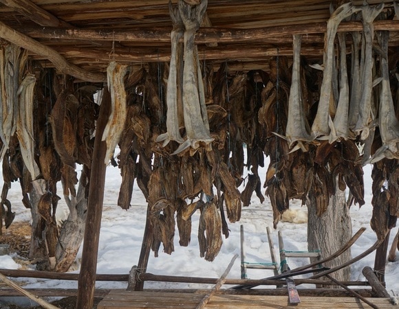 До сих пор не пробовали юколу и краба? Готовим так, как это делают на Сахалине 