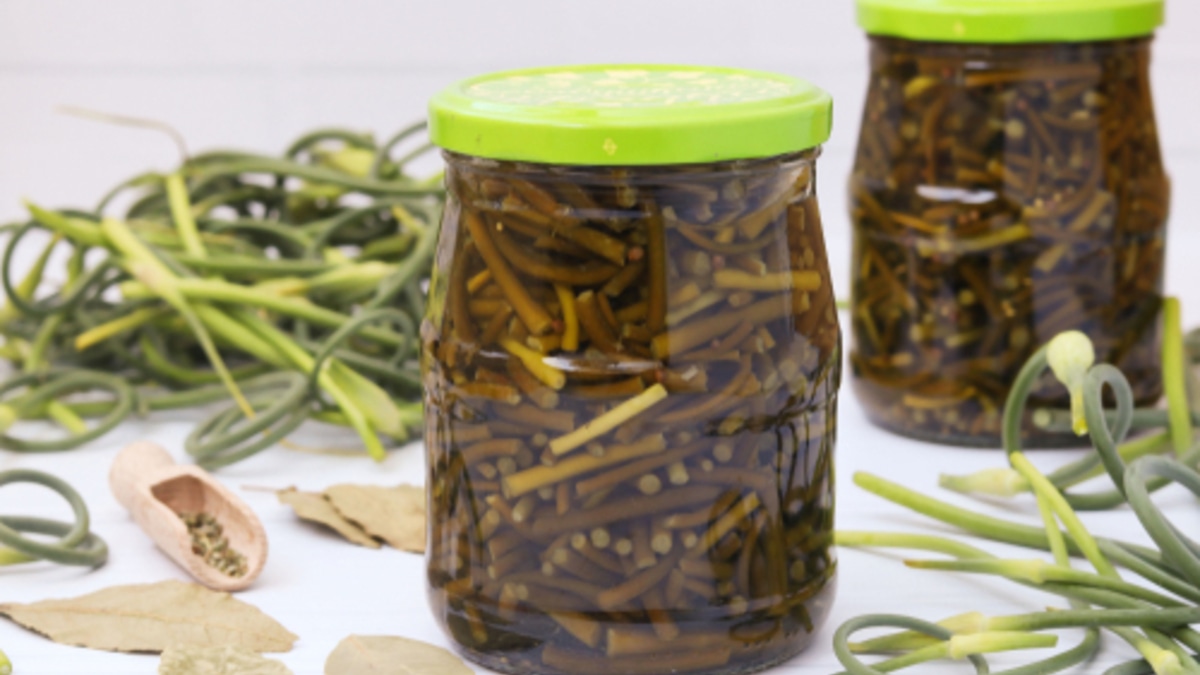 Маринованные чесночные стрелки — рецепт аппетитной заготовки на зиму