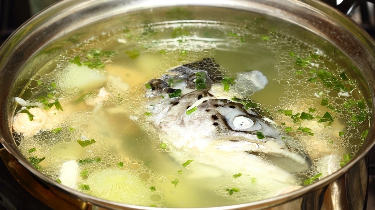 Вот, что на самом деле отличает рыбный бульон от мясного — нужно знать каждой хозяйке