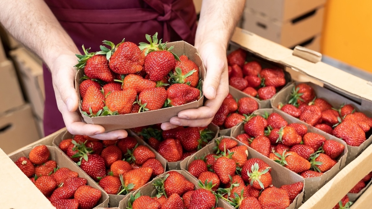 Цена космос, а есть нечего: как россиян обманывают продавцы ягод