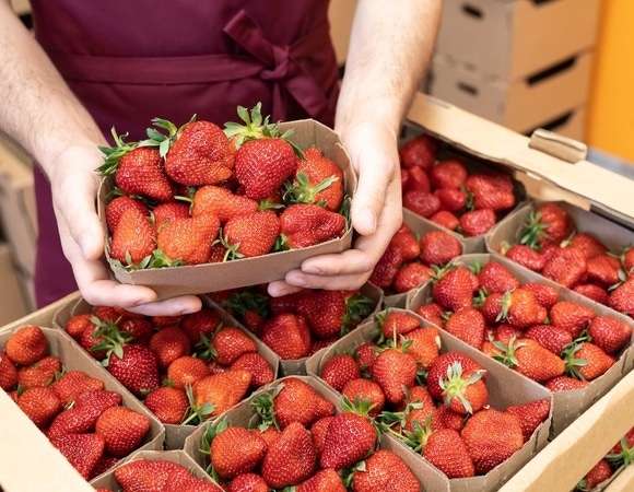 Цена космос, а есть нечего: как россиян обманывают продавцы ягод Цена космос, а есть нечего: как россиян обманывают продавцы ягод