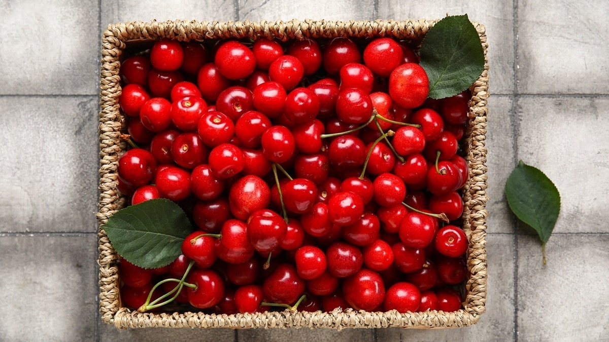 "Немного лимонной цедры для пикантности": компот из черешни — как приготовить вкусный напиток "Немного лимонной цедры для пикантности": компот из черешни — как приготовить вкусный напиток