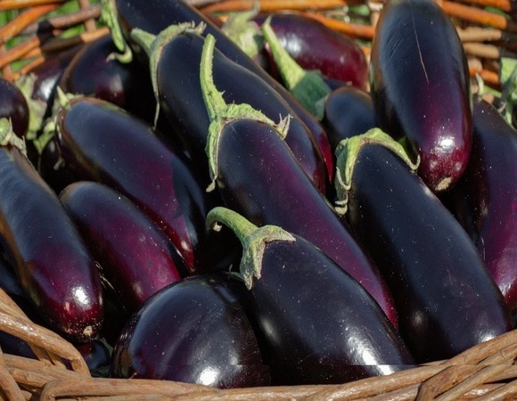 "Будет так вкусно": заменить мясо баклажанами легко и просто