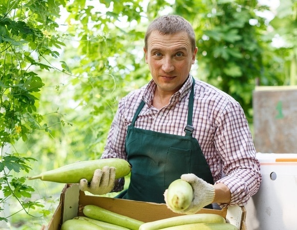 Надоели кабачки в классических рецептах? Испеките вафли в вафельнице — "очень вкусно"