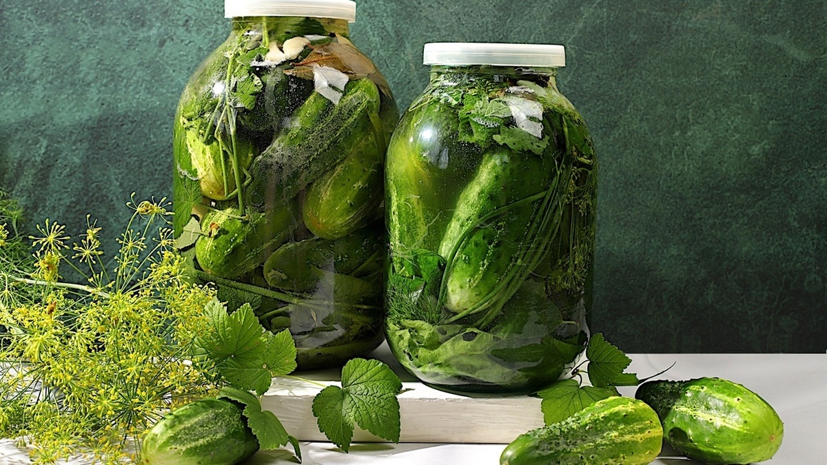 "Как у мамы в советские годы": забытый всеми рецепт малосольных огурчиков вновь на пике популярности