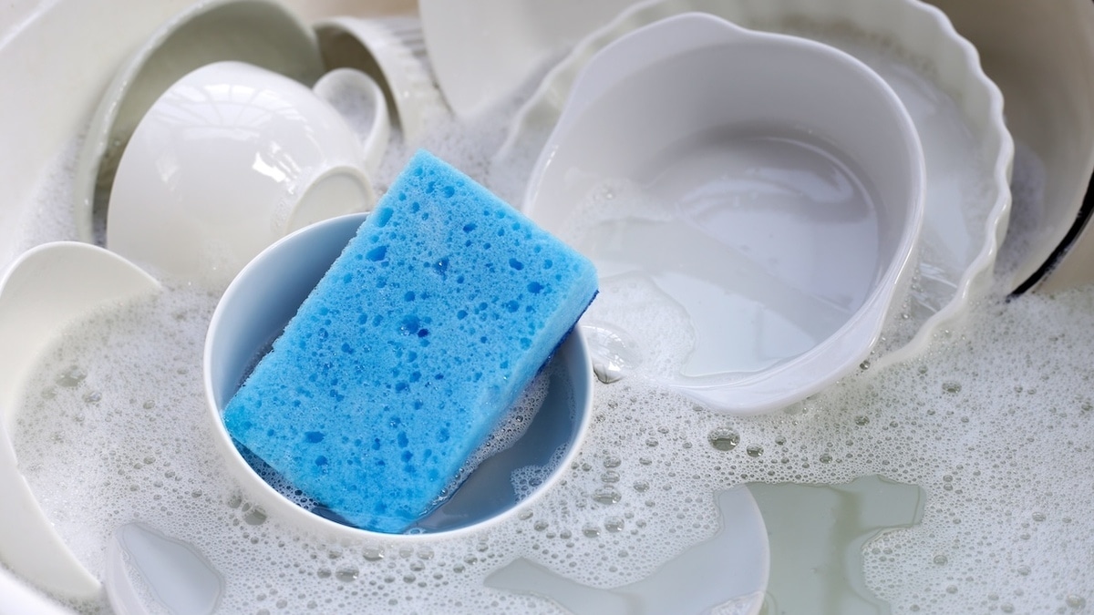 Как часто менять губку для посуды — рассказала эксперт Роскачества