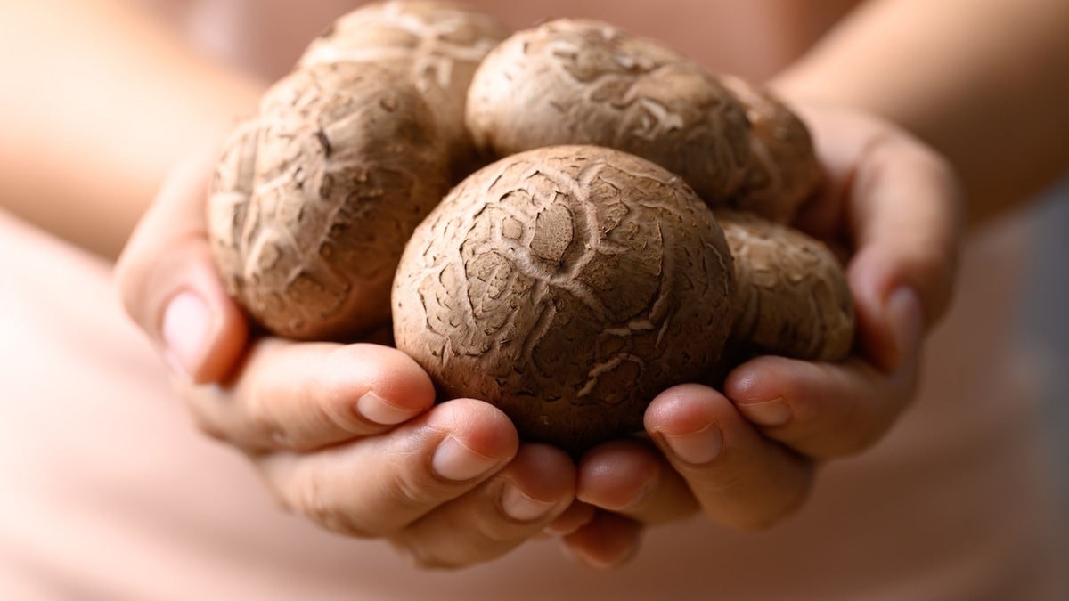 Назван продукт, который помогает убрать "запах старости" Назван продукт, который помогает убрать "запах старости"