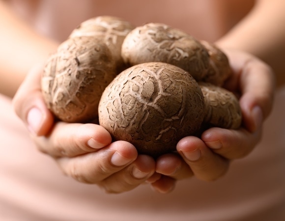 Назван продукт, который помогает убрать "запах старости"