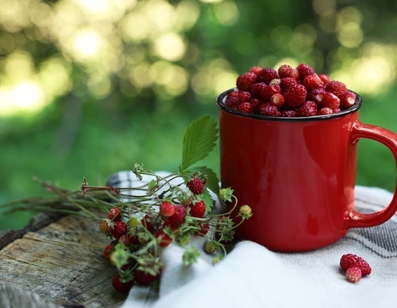 "Аромат завораживает": такой летний десерт из земляники нужно попробовать хоть один раз 