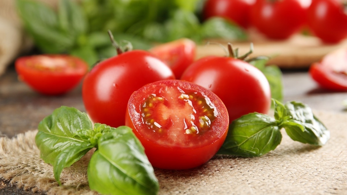 "Быстро, вкусно и свежо": сочную закуску из помидоров можно приготовить всего за 5 минут "Быстро, вкусно и свежо": сочную закуску из помидоров можно приготовить всего за 5 минут