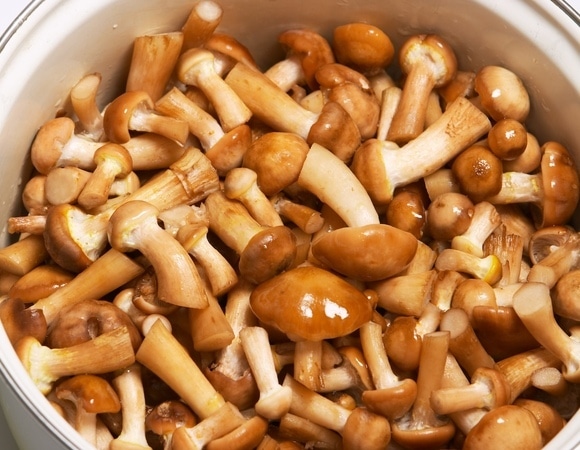 Варенье из грибов — неожиданная закуска пригодится, если нужно удивить гостей 