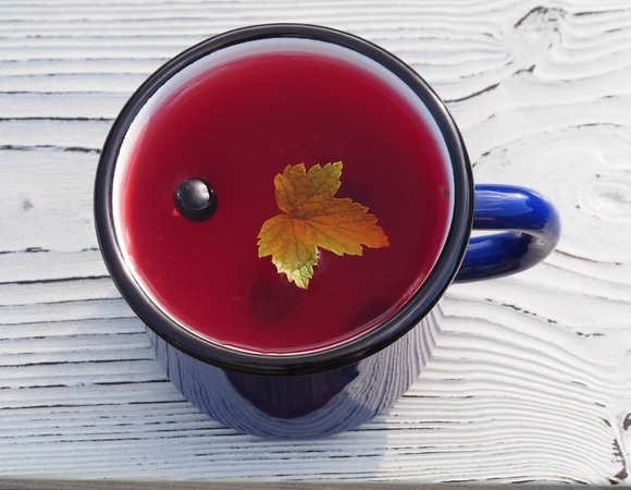 "Чашка-согревашка" со смородиной и мятой — заменит и кофе, и чай "Чашка-согревашка" со смородиной и мятой — заменит и кофе, и чай