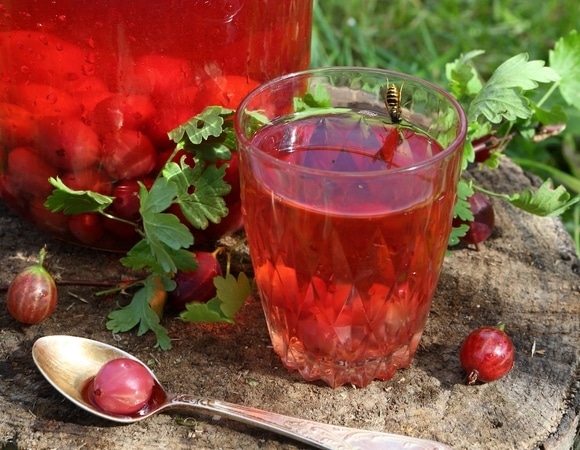 Самый простой компот на зиму — запаситесь горстью крыжовника да цитрусовыми 