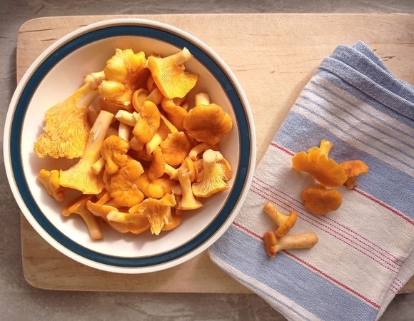 Почему горчат лисички? Микологи рассказали о поганках, елках и промзонах Почему горчат лисички? Микологи рассказали о поганках, елках и промзонах