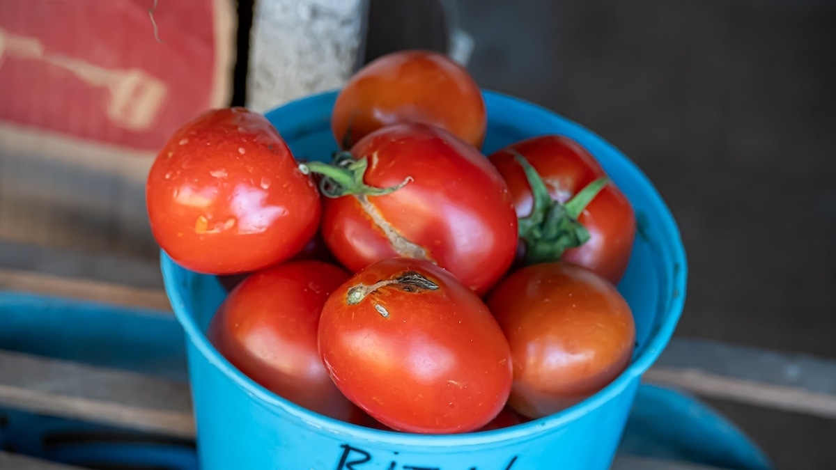 Названы места, где ни в коем случае нельзя покупать овощи и фрукты