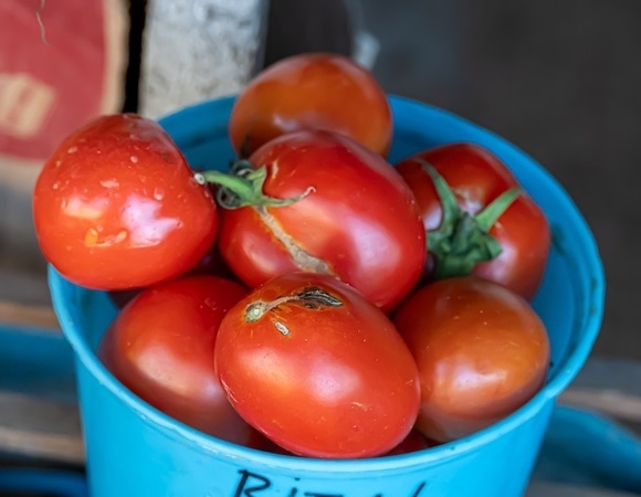 Названы места, где ни в коем случае нельзя покупать овощи и фрукты