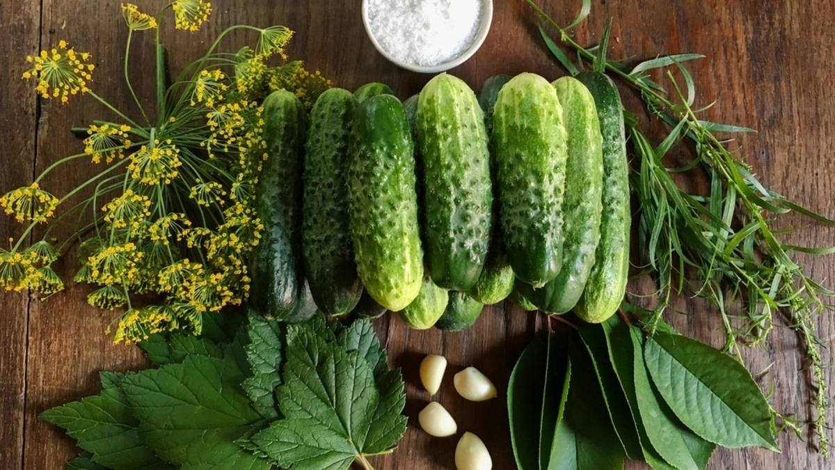 Как сделать маринованные огурцы хрустящими — нужен всего один тайный ингредиент