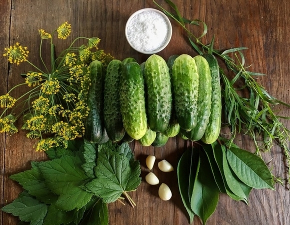 Как сделать маринованные огурцы хрустящими — нужен всего один тайный ингредиент Как сделать маринованные огурцы хрустящими — нужен всего один тайный ингредиент